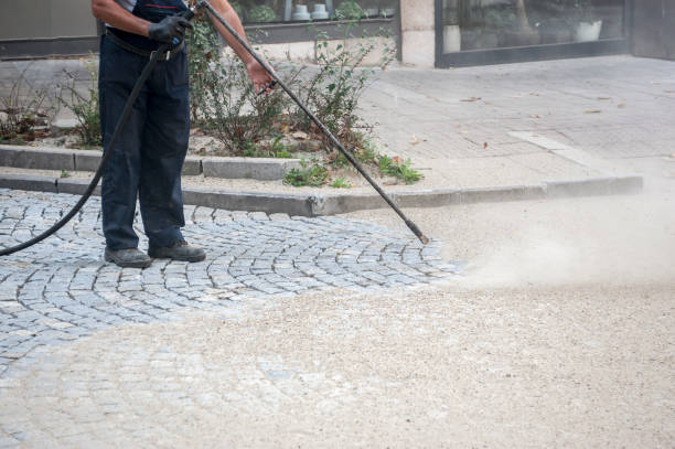 Best Sidewalk and Walkway Cleaning  in Hamilton, MO